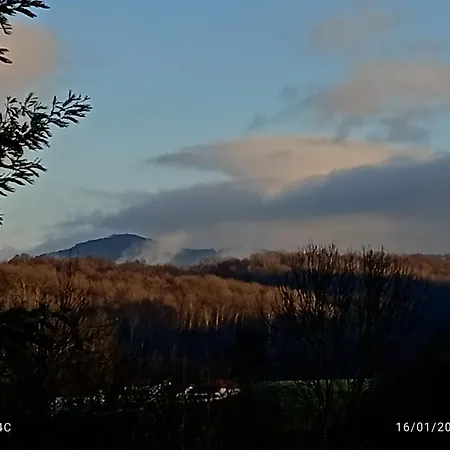 Chez Olive Et Garance Couret