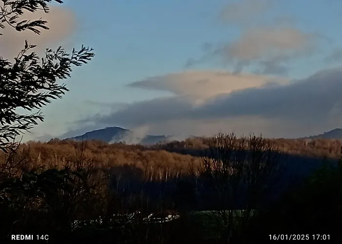 Chez Olive Et Garance Couret