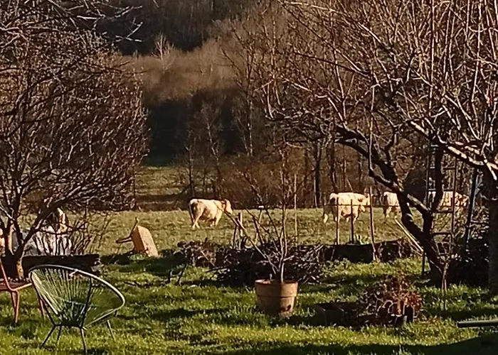 Bed & Breakfast Chez Olive Et Garance