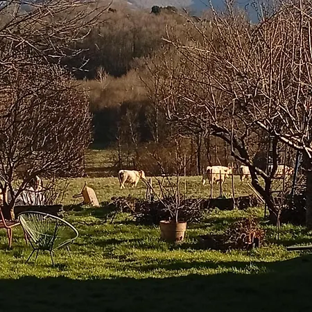 Oda ve Kahvaltı Chez Olive Et Garance